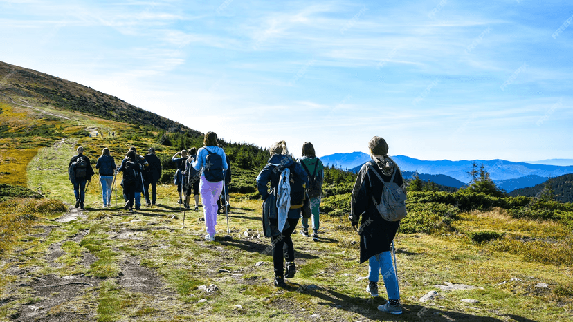 Group Tours
