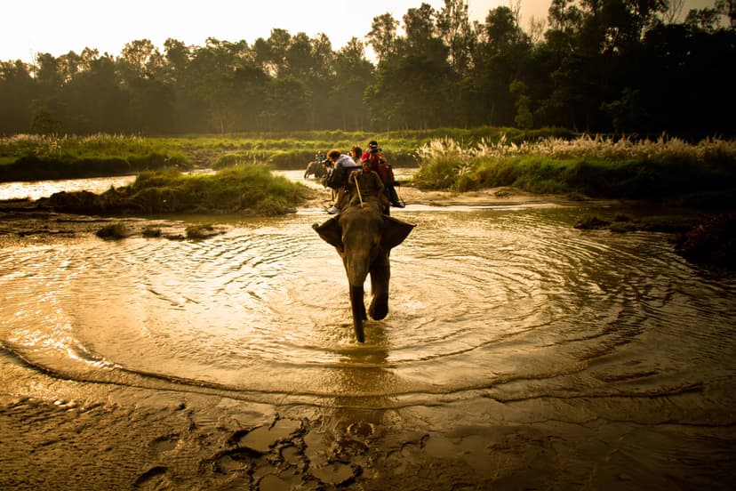 Chitwan’s Sauraha is open to tourists from Thursday again