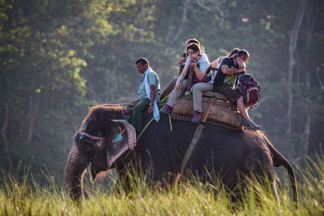 Chitwan National Park (चितवन राष्ट्रिय निकुञ्ज)