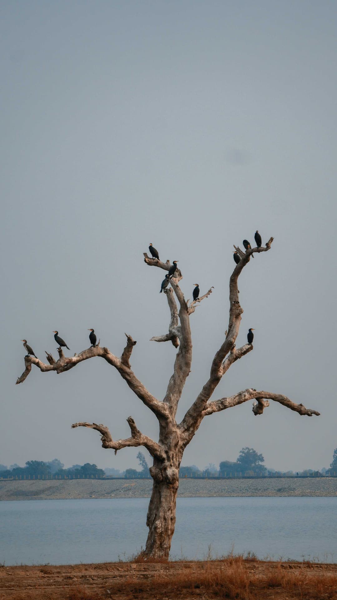 Bishazari Tal (Twenty Thousand Lakes)