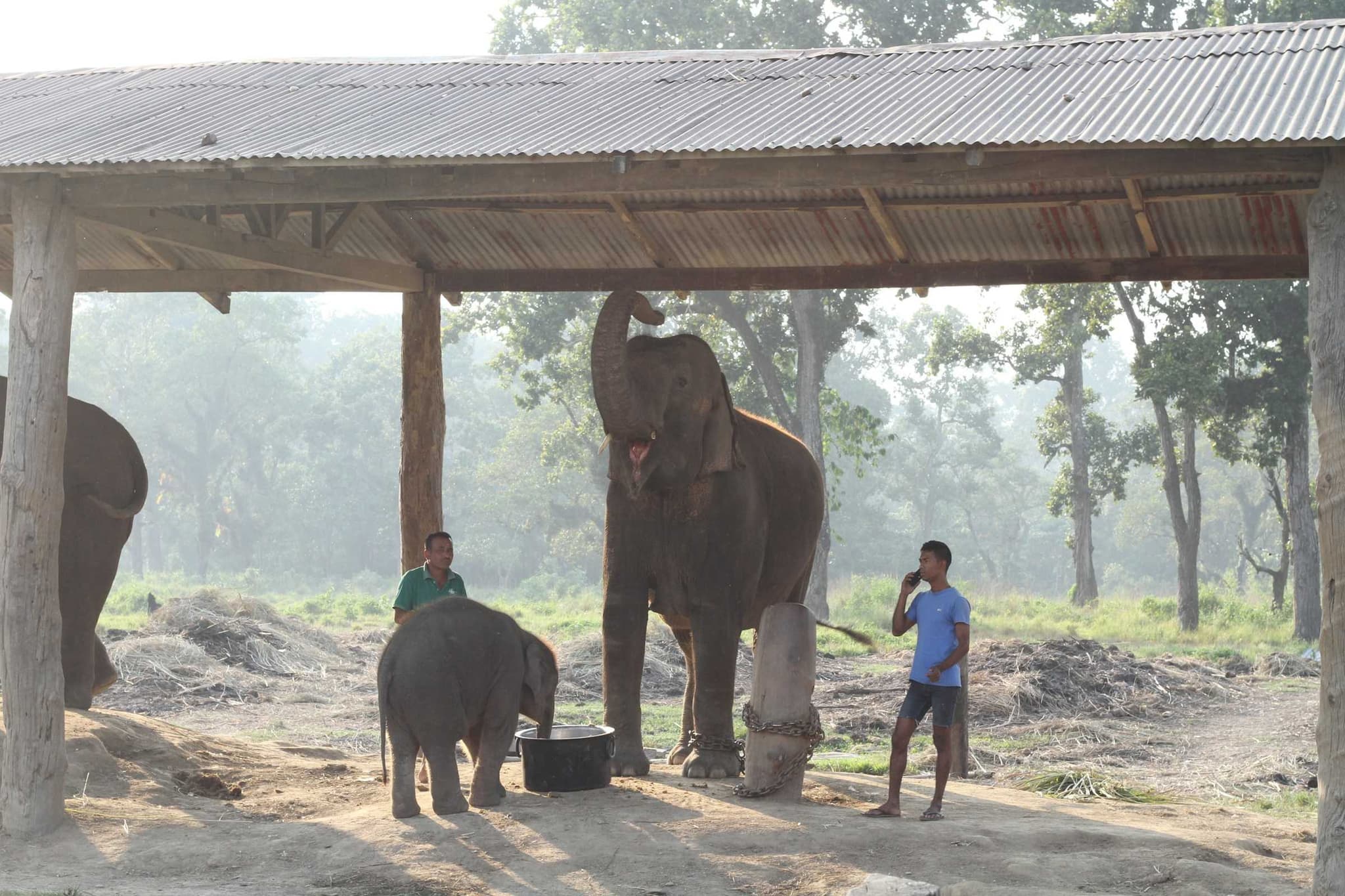 Elephant Breeding Center