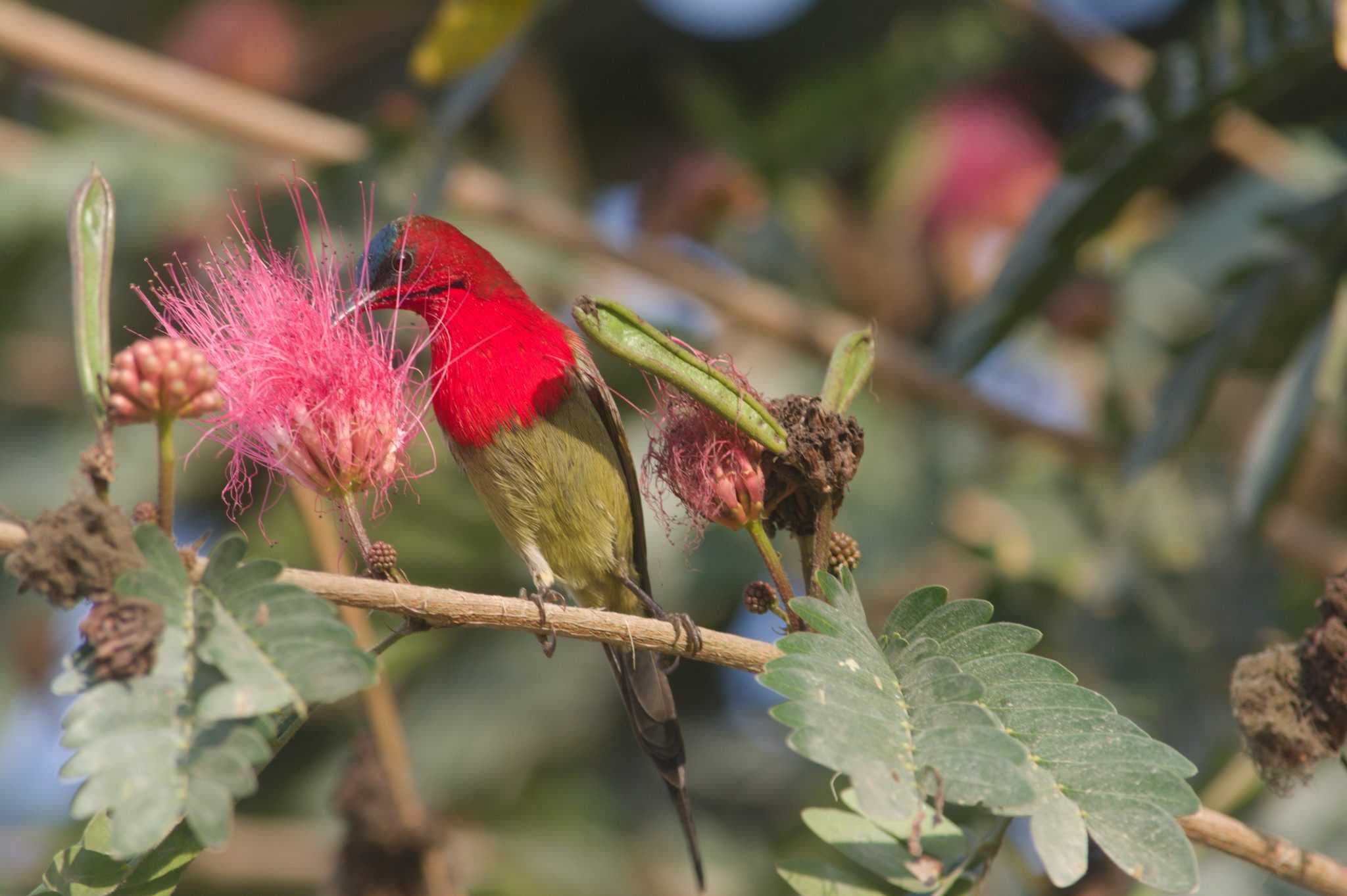 2 Nights 3 Days – Plan 2