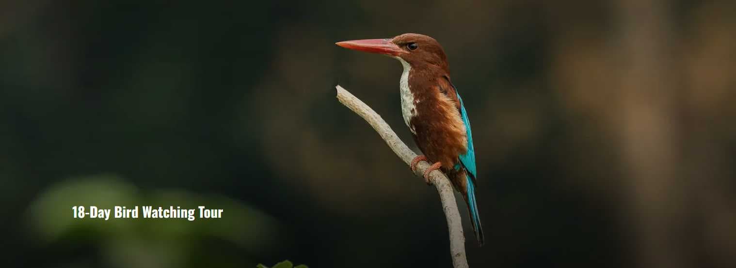 🐦 18-Day Bird Watching Tour in Nepal